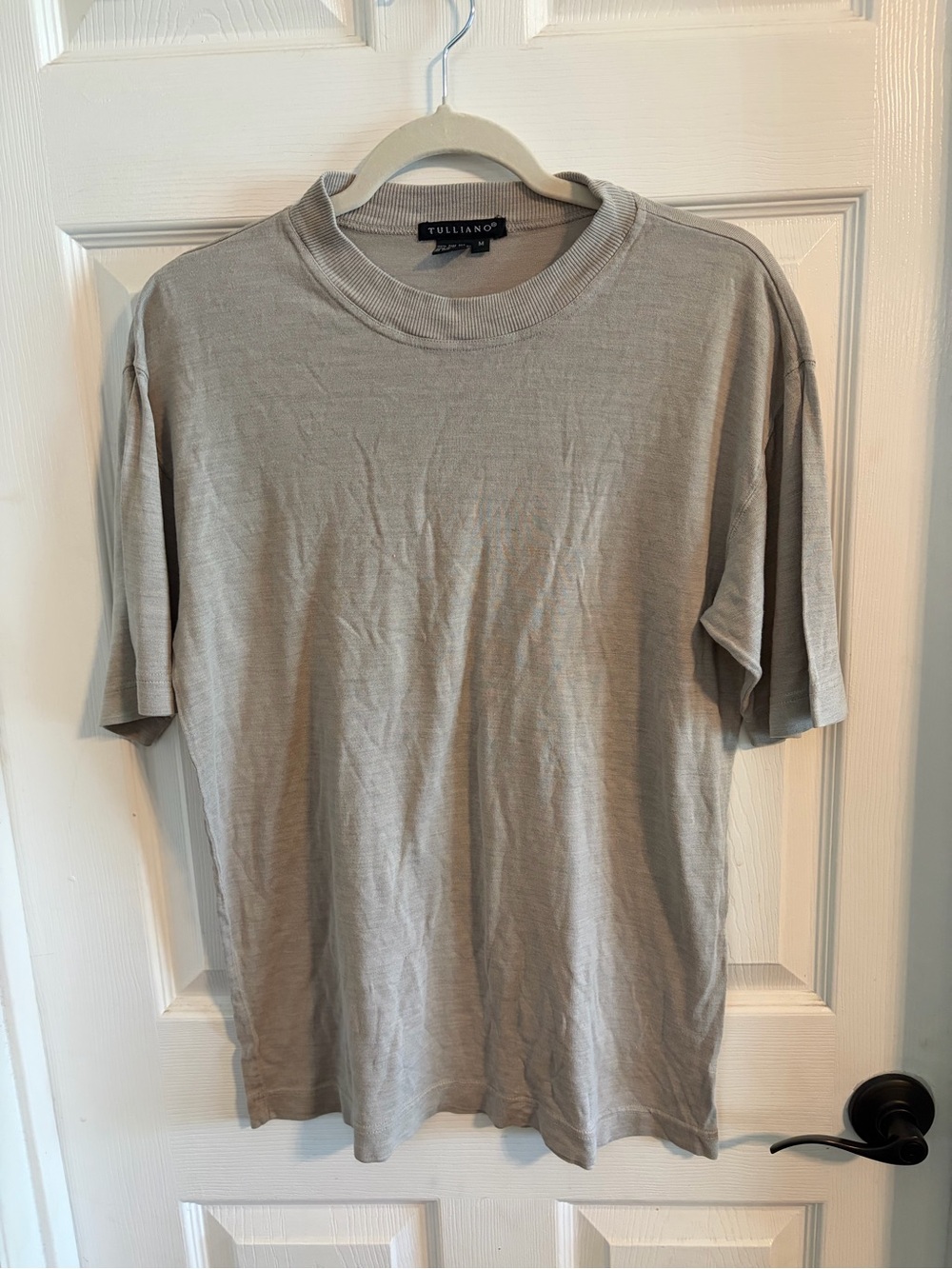 Tulliano 100% Pure Silk Mock Neck Tee Mens M Taupe Quiet Luxury Minimalist